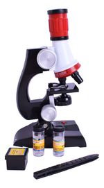 651302-MLA89074400538_082025