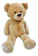 809325-MLA83592091951_042025