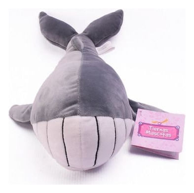 905509-MLA88078380632_072025