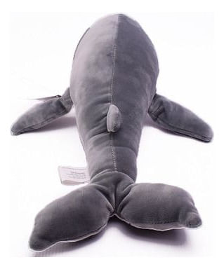 793434-MLA88418941127_072025