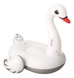 693113-MLA70135376426_062023