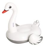 986076-MLA70135376428_062023