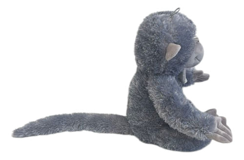 974381-MLA89746283266_082025