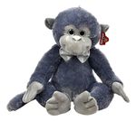 760477-MLA89746283262_082025