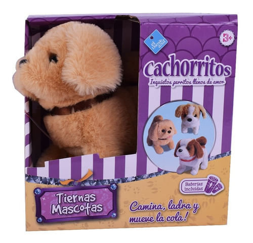 921967-MLA43439771444_092020