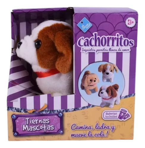 937551-MLA74831080525_022024