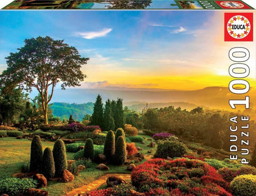 655903-MLA43745474481_102020