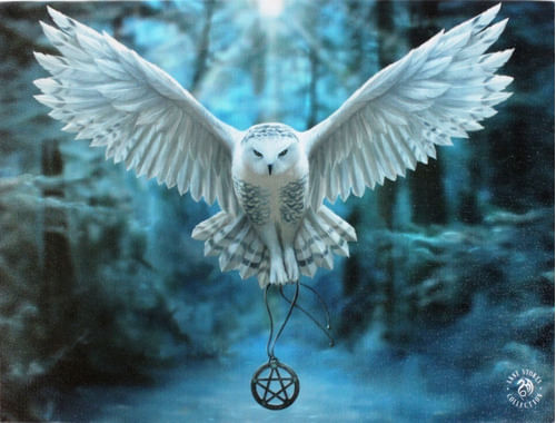 943094-MLA70430234854_072023