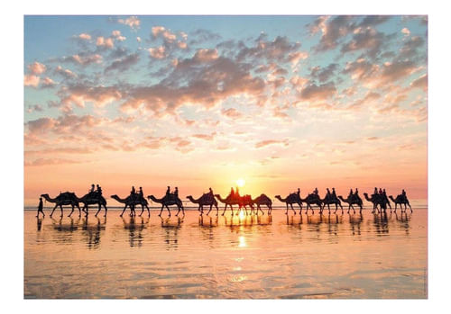 810182-MLA70415608328_072023