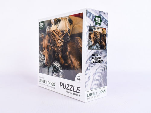 851543-MLA74508381968_022024