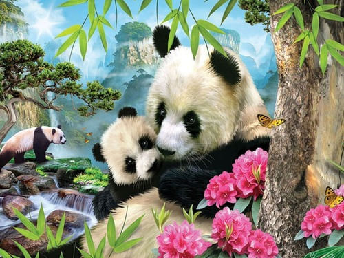 749795-MLA47327441983_092021