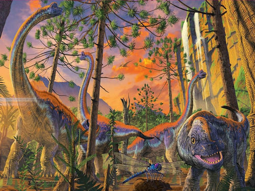 990169-MLA74508714372_022024