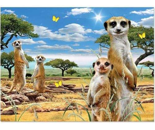 874484-MLA50802986805_072022