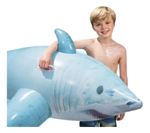 871473-MLA74796430588_032024