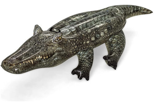 988334-MLA70156306449_062023