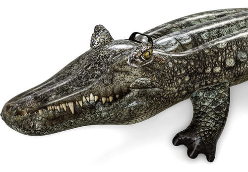 757566-MLA70156306459_062023