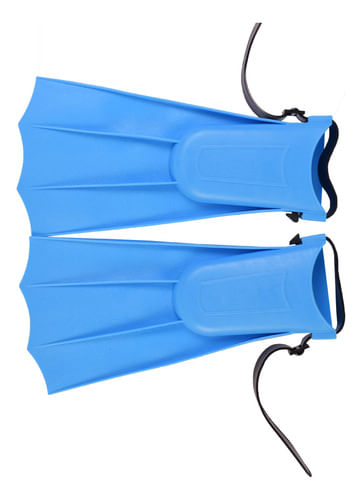 877222-MLA88969992429_072025