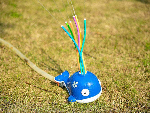 951033-MLA70197578372_062023