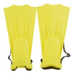 732253-MLA88970495215_072025