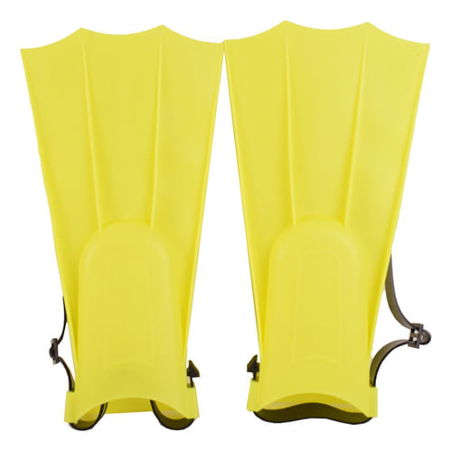 732253-MLA88970495215_072025