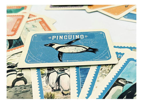 796196-MLA74508466492_022024