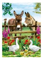 604671-MLA74508684522_022024