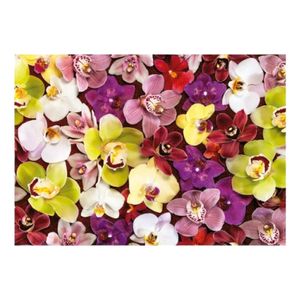 Puzzle Rompecabeza 1000 Piezas Collage De Orquídeas Educa