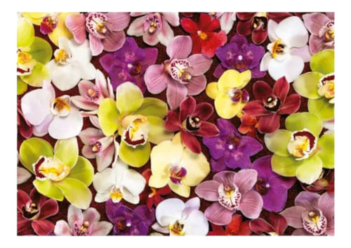 814591-MLA74830108163_022024