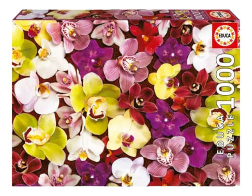 826379-MLA74830108165_022024