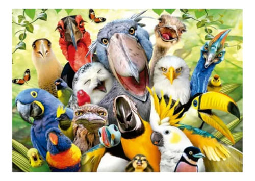 627229-MLA76986981971_062024