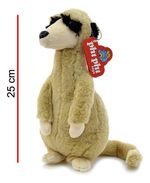 760452-MLU75209627080_032024