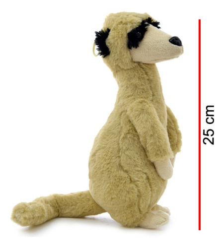 781686-MLU75357652421_032024