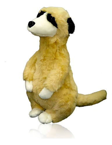 616716-MLA91502640800_092025