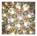 781925-MLA71567330987_092023