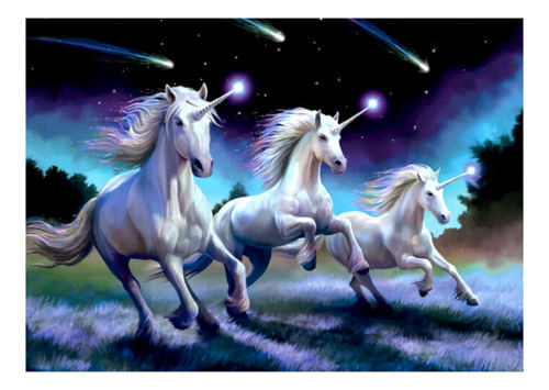 925816-MLA77092438055_062024