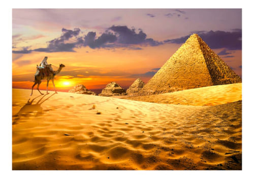 803033-MLA77090400439_062024