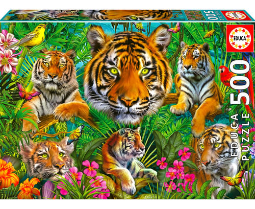 662094-MLA77088375767_062024