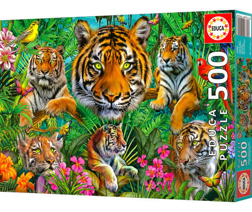 954964-MLA77087993243_062024