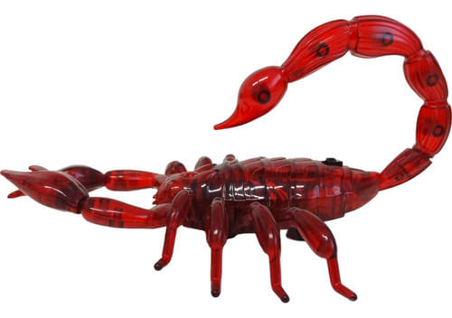 881816-MLA89084587936_082025