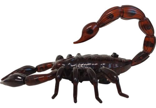 671036-MLA89084587940_082025