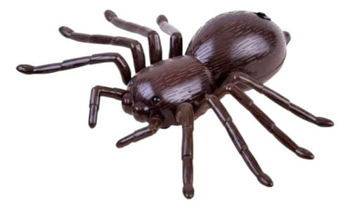 845485-MLA90546662036_082025