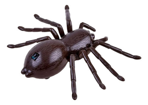 881756-MLA90546662024_082025