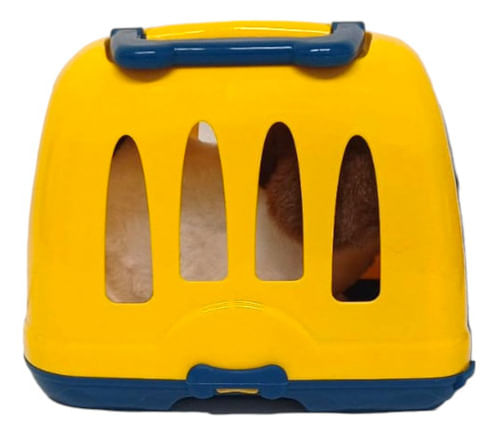 724699-MLA88521616583_072025