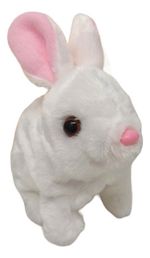 908246-MLA88521616579_072025