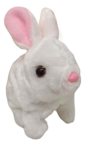 908246-MLA88521616579_072025