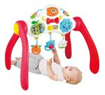 767436-MLA79000847883_092024