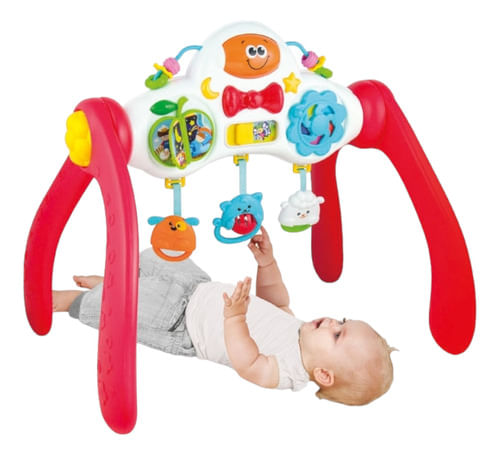 767436-MLA79000847883_092024