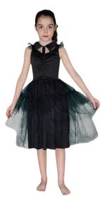 980307-MLA79966728067_102024