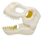 901334-MLA79948769039_102024