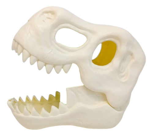 901334-MLA79948769039_102024